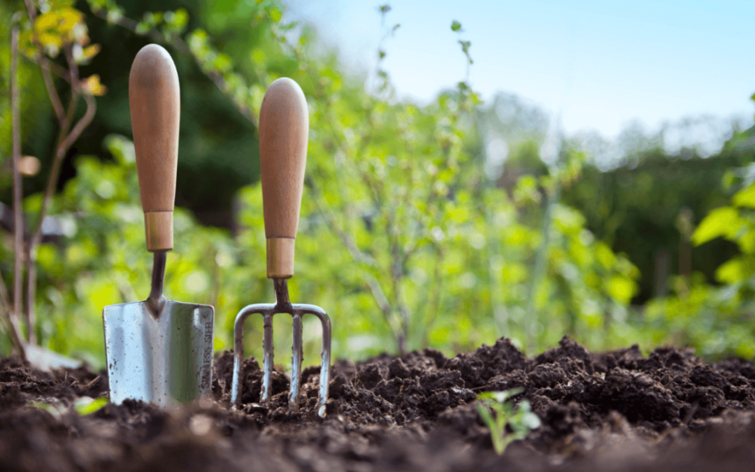 Cultivating Prosperity: The Art of Tending to Your Investments and Your Garden